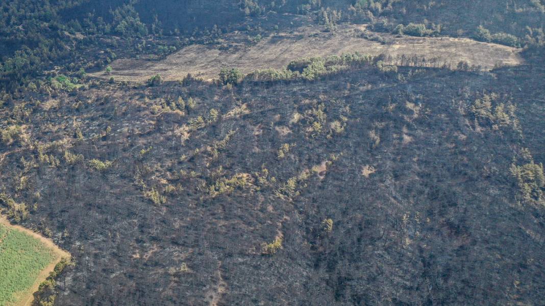 Sakarya'da başlayan yangın kontrolden çıktı: Bilecik'in ormanları siyaha büründü 17